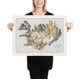 Map of Iceland, AD 1901