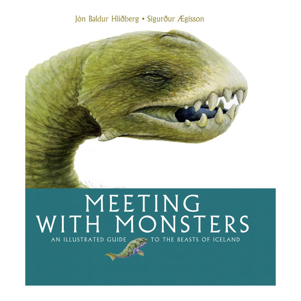 Meeting with Monsters by Jón Baldur Hlíðberg & Sigurður Ægisson
