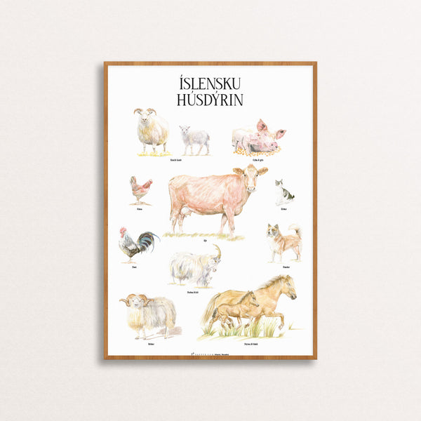 Farm Animals of Iceland Poster