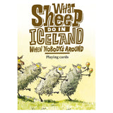 What Sheep do in Iceland when Nobody's Around - Playing Cards