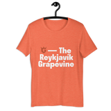 The Reykjavík Grapevine T-Shirt