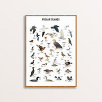 Icelandic Birds Poster by Jón Baldur Hlíðberg