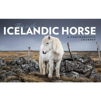 This is the Icelandic Horse