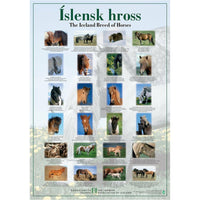 Icelandic Horse Poster